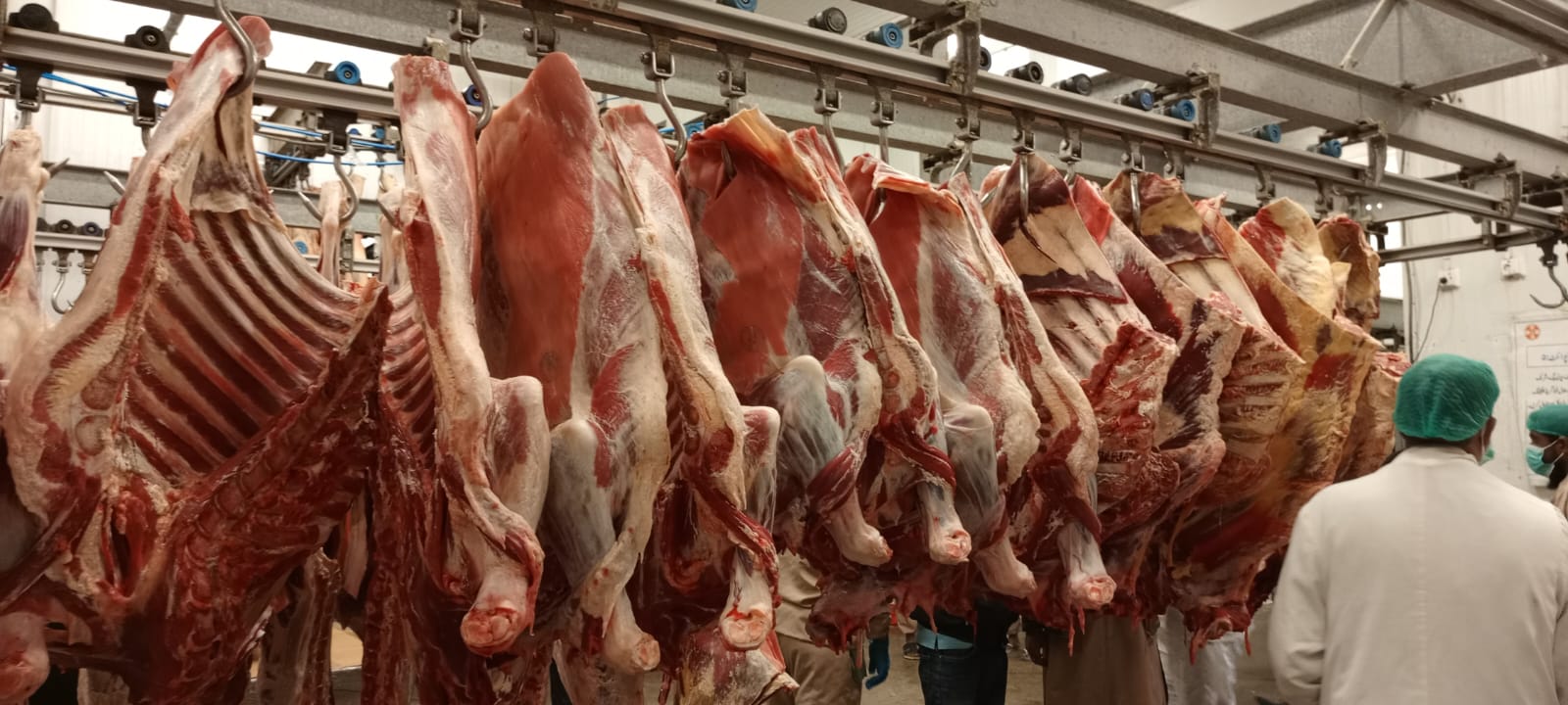 Fresh Meat (Beef)