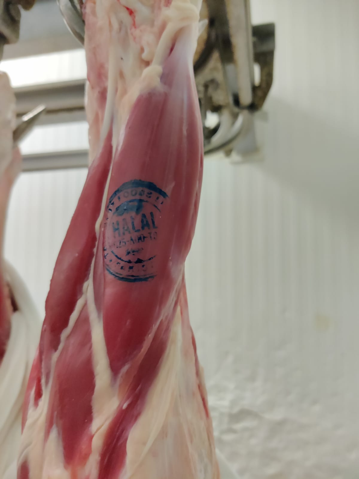 Fresh Meat (Beef)